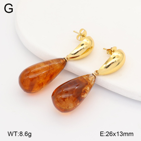 2E4005156vbmb-434  Stainless Steel Earrings