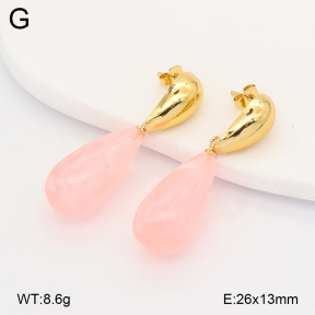 2E4005157vbmb-434  Stainless Steel Earrings