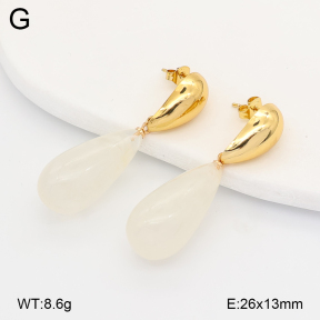 2E4005158vbmb-434  Stainless Steel Earrings
