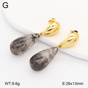 2E4005159vbmb-434  Stainless Steel Earrings