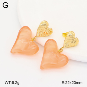 2E4005160vbmb-434  Stainless Steel Earrings