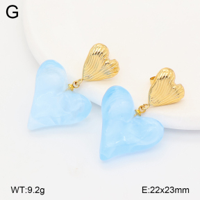 2E4005161vbmb-434  Stainless Steel Earrings