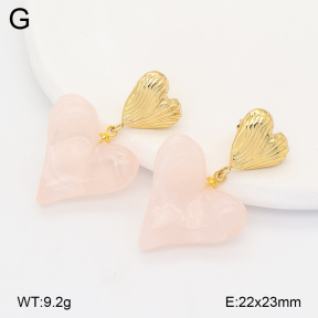 2E4005162vbmb-434  Stainless Steel Earrings