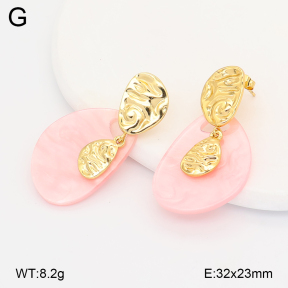2E4005163vbmb-434  Stainless Steel Earrings