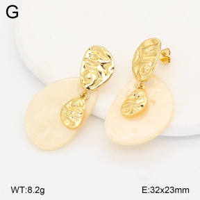 2E4005164vbmb-434  Stainless Steel Earrings