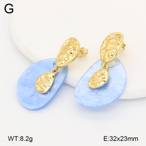 2E4005165vbmb-434  Stainless Steel Earrings