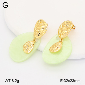 2E4005166vbmb-434  Stainless Steel Earrings