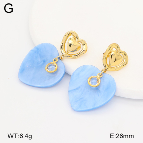 2E4005168vbmb-434  Stainless Steel Earrings