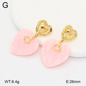 2E4005169vbmb-434  Stainless Steel Earrings