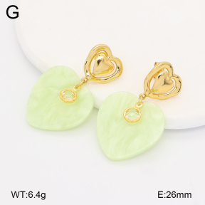 2E4005170vbmb-434  Stainless Steel Earrings