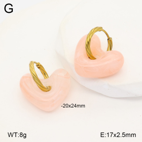 2E4005171ablb-434  Stainless Steel Earrings