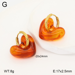 2E4005172ablb-434  Stainless Steel Earrings