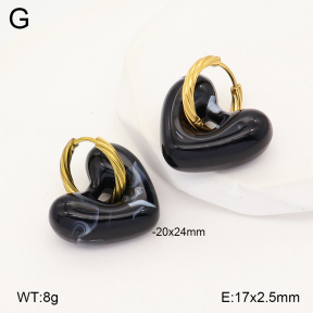 2E4005174ablb-434  Stainless Steel Earrings