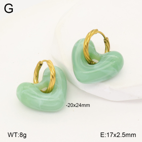 2E4005175ablb-434  Stainless Steel Earrings