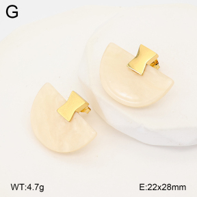 2E4005176vbll-434  Stainless Steel Earrings
