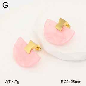 2E4005177vbll-434  Stainless Steel Earrings