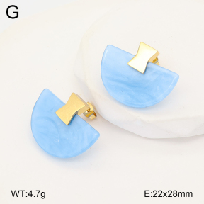 2E4005178vbll-434  Stainless Steel Earrings