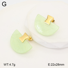 2E4005179vbll-434  Stainless Steel Earrings