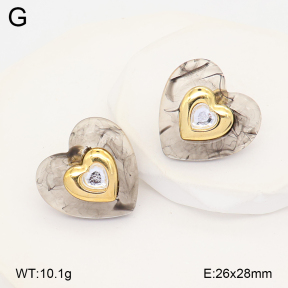 2E4005181vbll-434  Stainless Steel Earrings