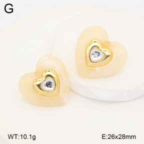 2E4005182vbll-434  Stainless Steel Earrings
