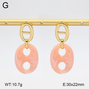 2E4005183vbmb-434  Stainless Steel Earrings