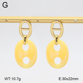 2E4005184vbmb-434  Stainless Steel Earrings