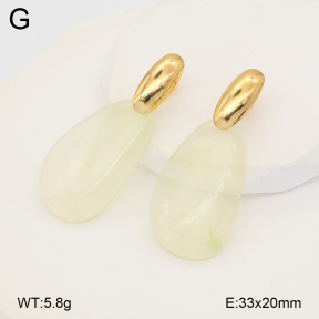 2E4005185vbll-434  Stainless Steel Earrings