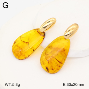 2E4005186vbll-434  Stainless Steel Earrings