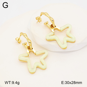 2E4005187vbmb-434  Stainless Steel Earrings