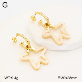 2E4005188vbmb-434  Stainless Steel Earrings