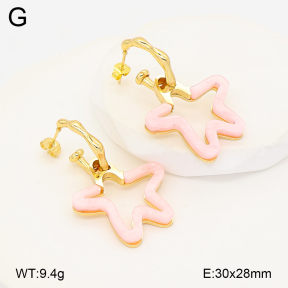 2E4005189vbmb-434  Stainless Steel Earrings