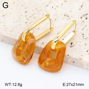 2E4005192vbll-434  Stainless Steel Earrings