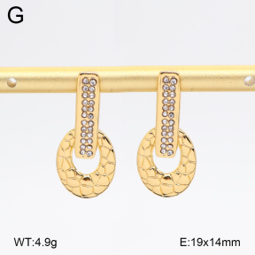 2E4005194vbmb-434  Stainless Steel Earrings