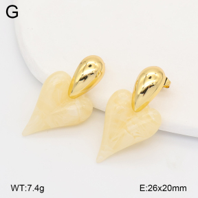2E4005195vbll-434  Stainless Steel Earrings