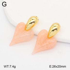 2E4005196vbll-434  Stainless Steel Earrings
