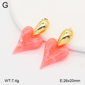 2E4005197vbll-434  Stainless Steel Earrings