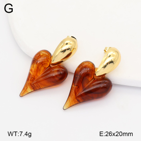2E4005198vbll-434  Stainless Steel Earrings