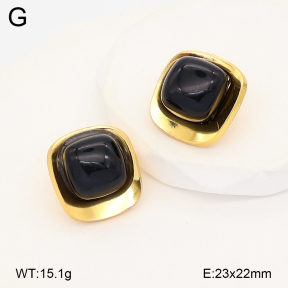 2E4005200ablb-434  Stainless Steel Earrings