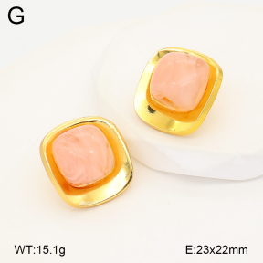 2E4005201ablb-434  Stainless Steel Earrings