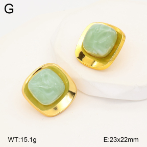 2E4005202ablb-434  Stainless Steel Earrings