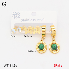 2E4005203bbml-434  Stainless Steel Earrings
