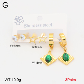 2E4005204bbml-434  Stainless Steel Earrings