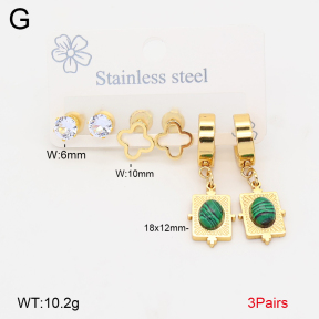 2E4005205bbml-434  Stainless Steel Earrings
