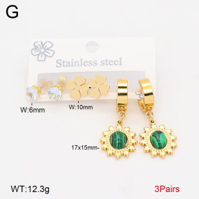 2E4005206bbml-434  Stainless Steel Earrings