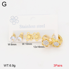 2E4005208aakl-434  Stainless Steel Earrings