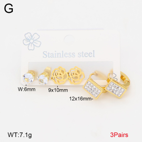 2E4005210aakl-434  Stainless Steel Earrings