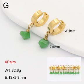 2E4005212vina-212  Stainless Steel Earrings