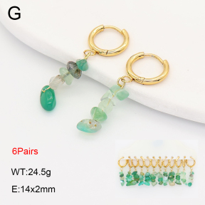 2E4005213vina-212  Stainless Steel Earrings
