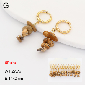 2E4005214vina-212  Stainless Steel Earrings