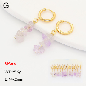 2E4005216vina-212  Stainless Steel Earrings